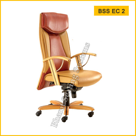 Ergonomic Chair BSS EC 2